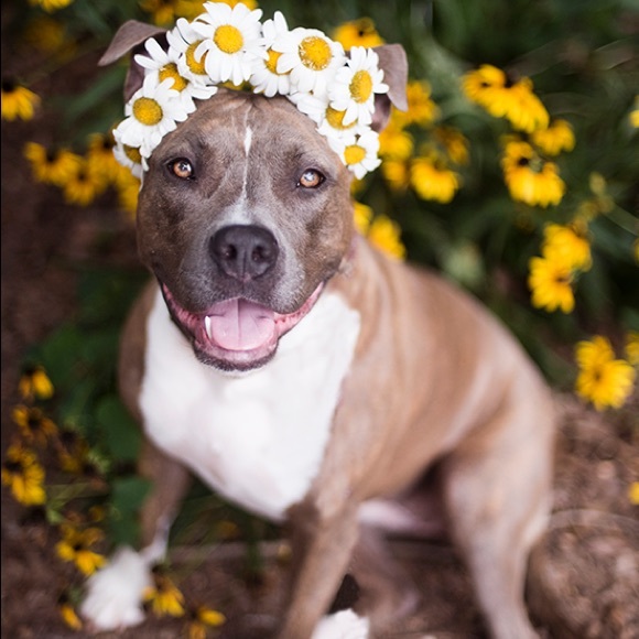 Meet your Posher, Kristen - Picture 4 of 5